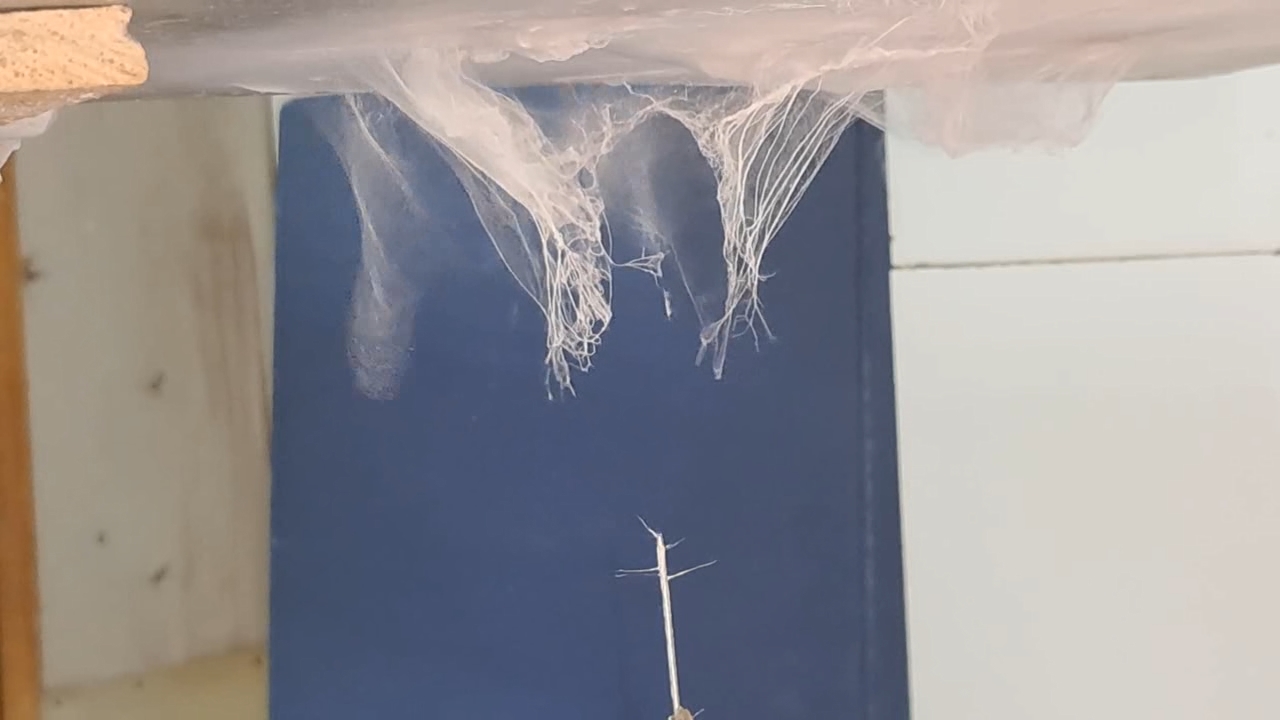 Electrospinning: Solutions of Polystyrene and Polyvinylidene Difluoride in Dimethylformamide